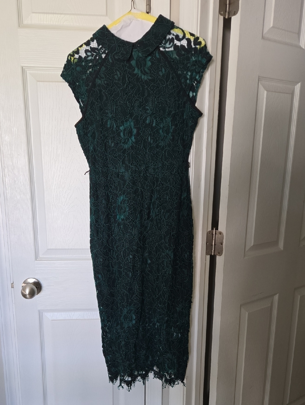 New York & Company Dark Green Lace Midi Dress with Collared Neck
